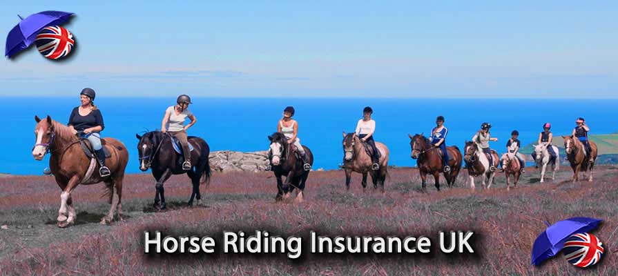Horse Riding Insurance UK Image