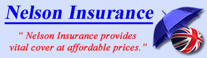 Logo of Nelson insurance UK, Nelson insurance quotes, Nelson insurance Products