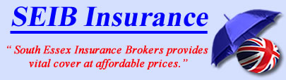 Logo of South Essex Insurance Brokers, South Essex insurance quotes, South Essex insurance Brokers