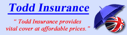 Logo of Todd Insurance Services, Todd insurance quotes, Todd insurance Brokers