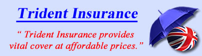 Logo of Trident Insurance Specialists, Trident insurance quotes, Trident insurance Brokers