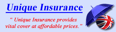 Logo of Unique Insurance Services, Unique insurance quotes, Unique Insurance Services