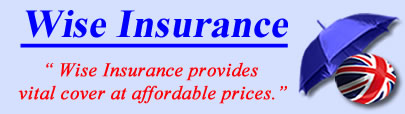 Logo of Wise Insurance Brokers, Wise insurance quotes, Wise insurance Brokers