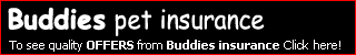 Buddies Pet Insurance