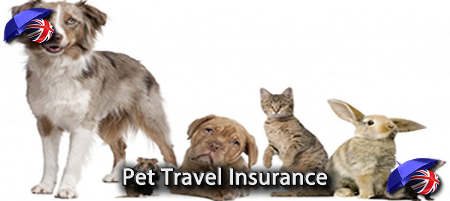 Pet Insurance UK Image